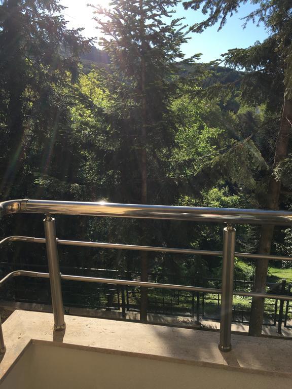 Park View Studios Sandanski Zewnętrze zdjęcie